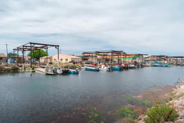 La Casa Tranquilia Chez Vero Et Jj Studio A Marseillan 外观 照片