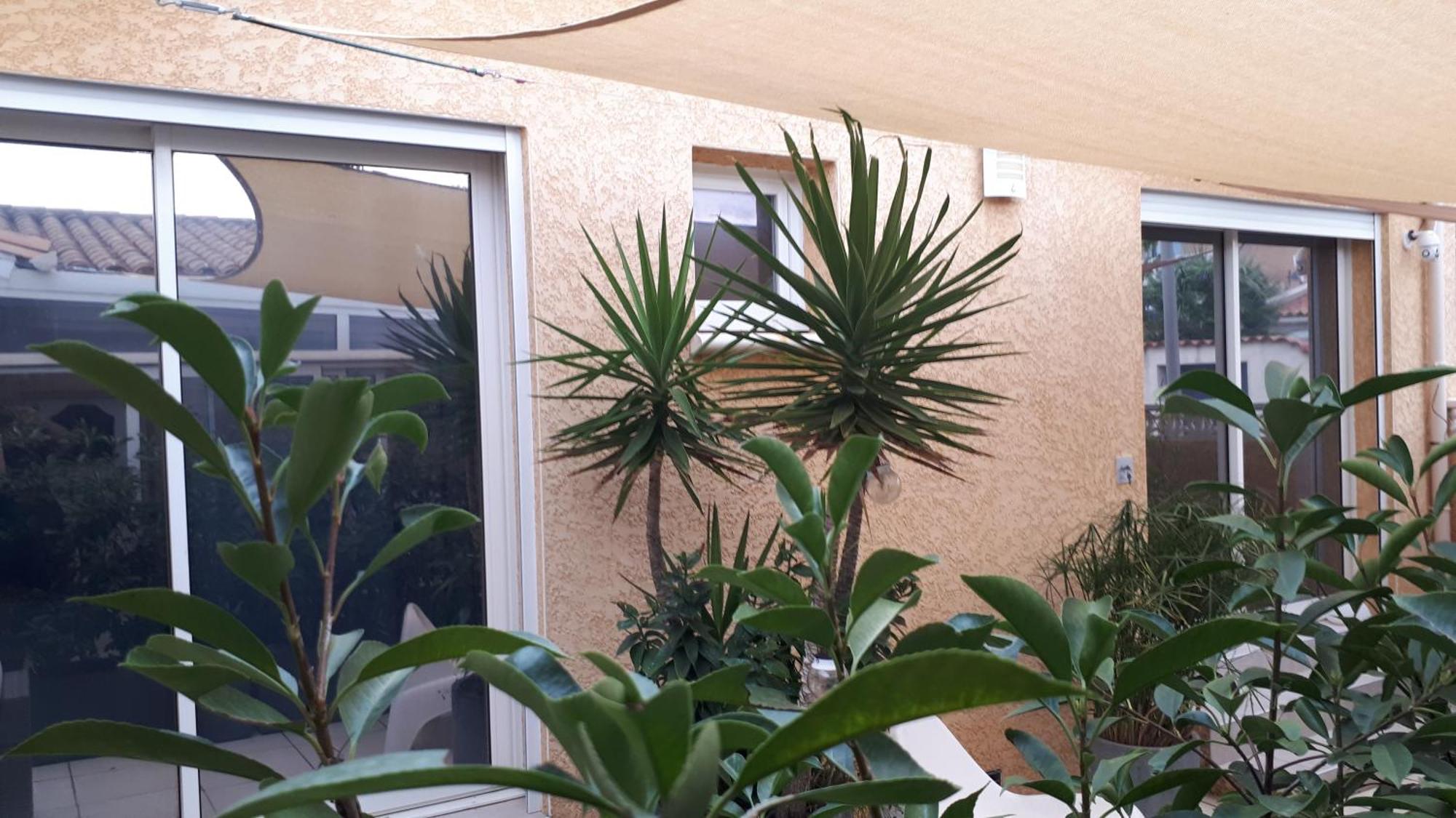 La Casa Tranquilia Chez Vero Et Jj Studio A Marseillan 外观 照片